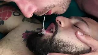 309 gay kissing porn videos